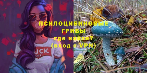 спайс Вязники