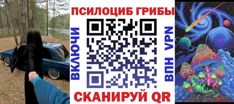 Купить закладки  Кыштым  Псилоцибиновые грибы GOLDEN TEACHER 