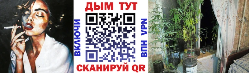 Каннабис Ganja  Купить где  Кыштым 